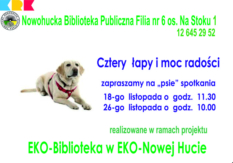 Cztery łapy i moc radości