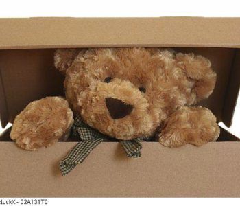 Dzień Pluszowego Misia w Muzeum Zabawek i Zabawy w Kielcach