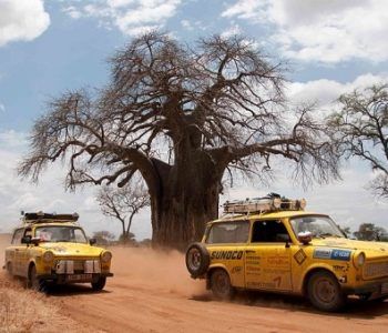 Pierwsza taka impreza w Kinie Centrum! Wadowice