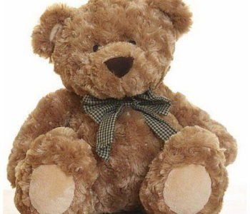 Światowy Dzień Pluszowego Misia w Muzeum Dobranocek – Rzeszów