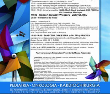 23 FINAŁ WOŚP w Przemyślu