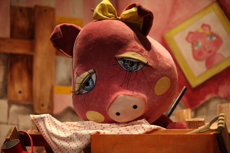 Dzień dobry, Świnko – Rzeszów