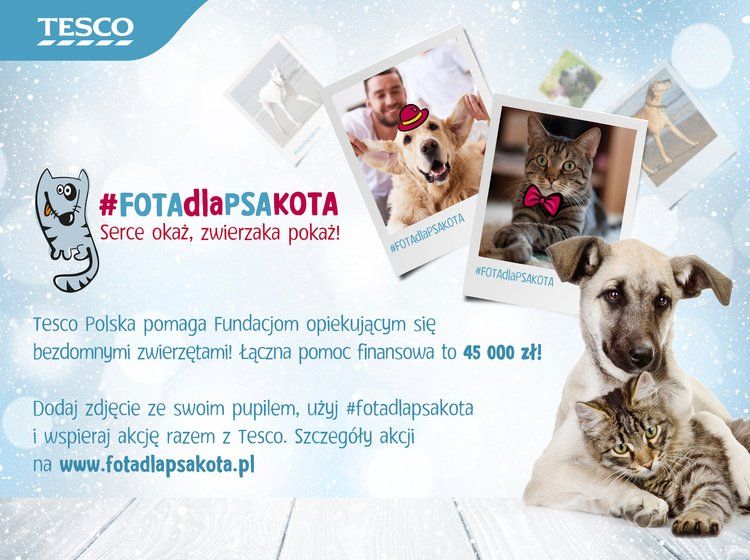 Ruszyła akcja – FOTAdlaPSAKOTA