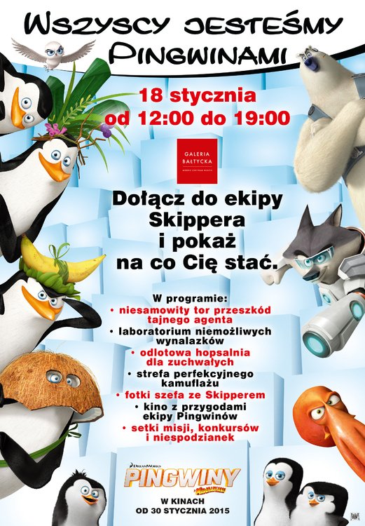 Spotkania z Pingiwnami z Madagaskaru w Gdańsku