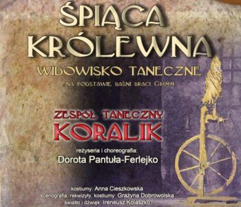 Śpiąca królewna – Przemyśl