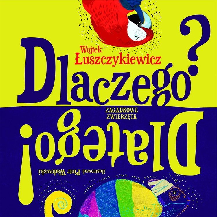 Dlaczego? Dlatego! Rockowy tata autorem książki dla dzieci