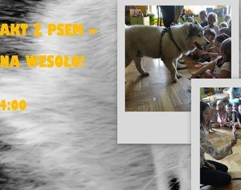 Dogoterapia na wesoło w Baby Club Cafe