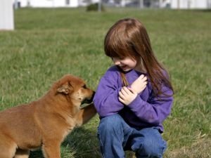 Dogoterapia na wesoło w Baby Club Cafe