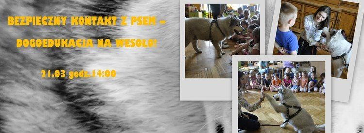 Dogoterapia na wesoło w Baby Club Cafe