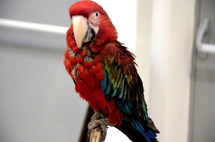 Lubelska Wystawa Zoologoczna ZOOPARK – relacja