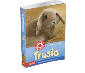 Na pomoc zwierzakom. Trusia, rozpieszczony królik