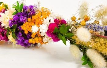 O wielkanocnej palmie – Opole