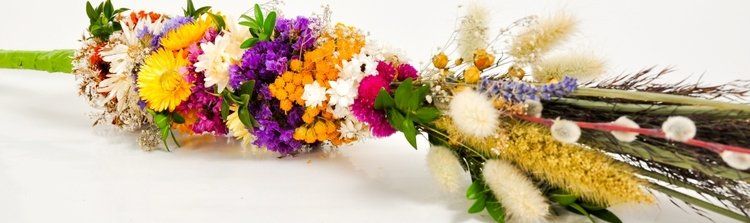 O wielkanocnej palmie – Opole