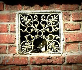 Rodzinne warsztaty architektoniczne