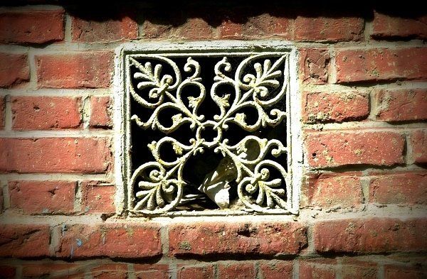 Rodzinne warsztaty architektoniczne