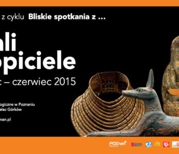 Wystawa w Muzeum Archeologicznym w Poznaniu