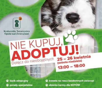 Nie kupuj… Adoptuj!