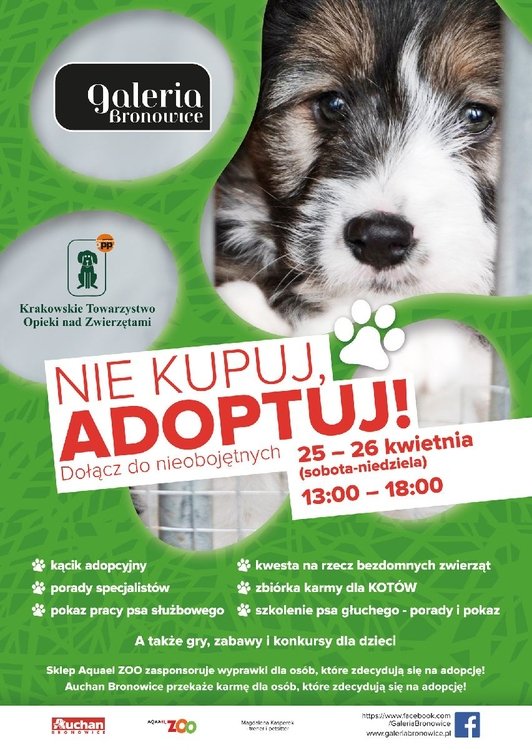 Nie kupuj… Adoptuj!