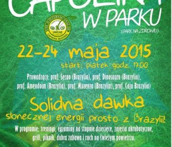 Capoeira w parku