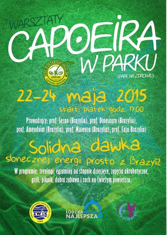 Capoeira w parku