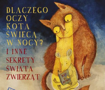 Dlaczego oczy kota świecą nocą? Dorota Sumińska