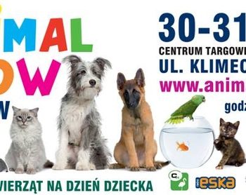 Dzień Dziecka Animal Show.Wielka Wystawa Zoologiczna