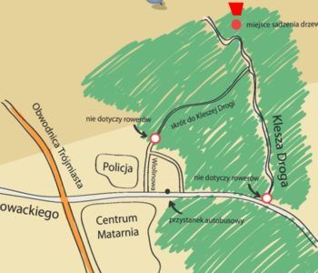 W sobotę wspólne sadzenie lasu w Matemblewie!