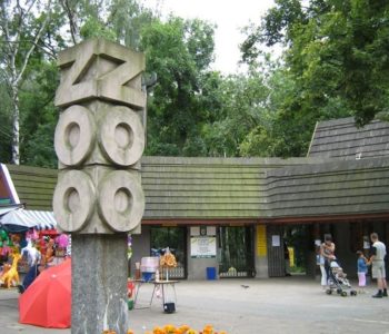 Letnia redakcja Wyborczej w łódzkim zoo