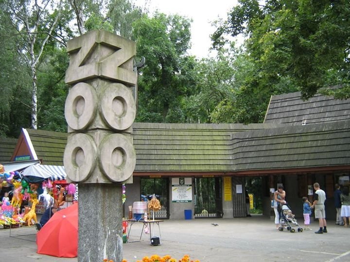 Letnia redakcja Wyborczej w łódzkim zoo