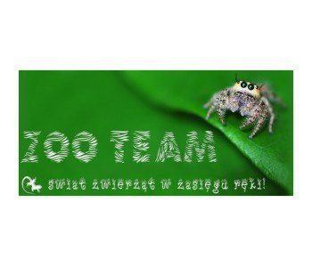 Logo ZOO Team