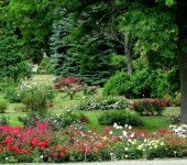 Ogród Botaniczny Lublin