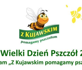 Wielki Dzień Pszczół – Toruń