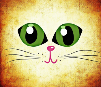 obrazek kota z zielonymi oczami