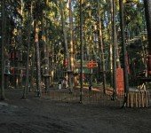 leśny park linowy olsztyn