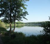 jezioro rusałka poznań