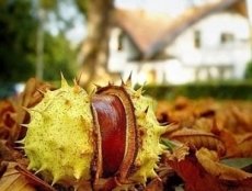 Karczma Skansen Smaków zaprasza na pożegnanie lata!