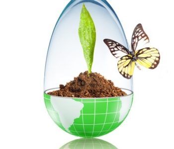 Popularnonaukowe zajęcia dla dzieci Collegium Likekonicum