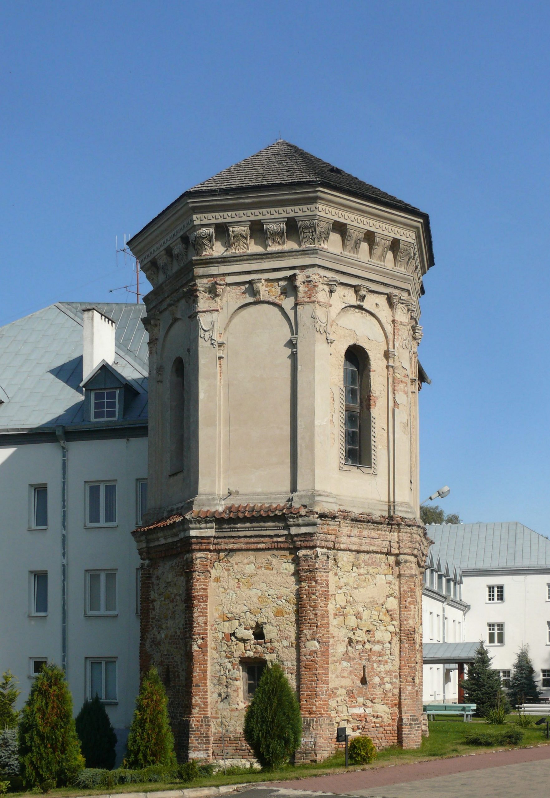 Ruiny zamku Firlejów w Dąbrowicy koło Lublina