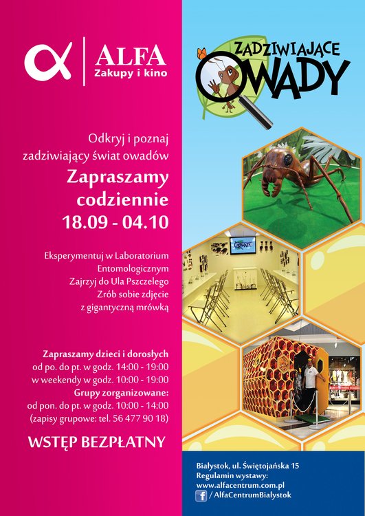 Zadziwiający świat owadów – Białystok