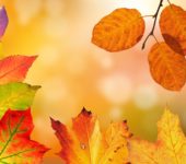 Jesienna orkiestra, wierszyk dla dzieci na jesień