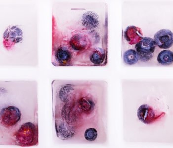 Lód z owocami lub kwiatami – do lemoniady i do zabawy