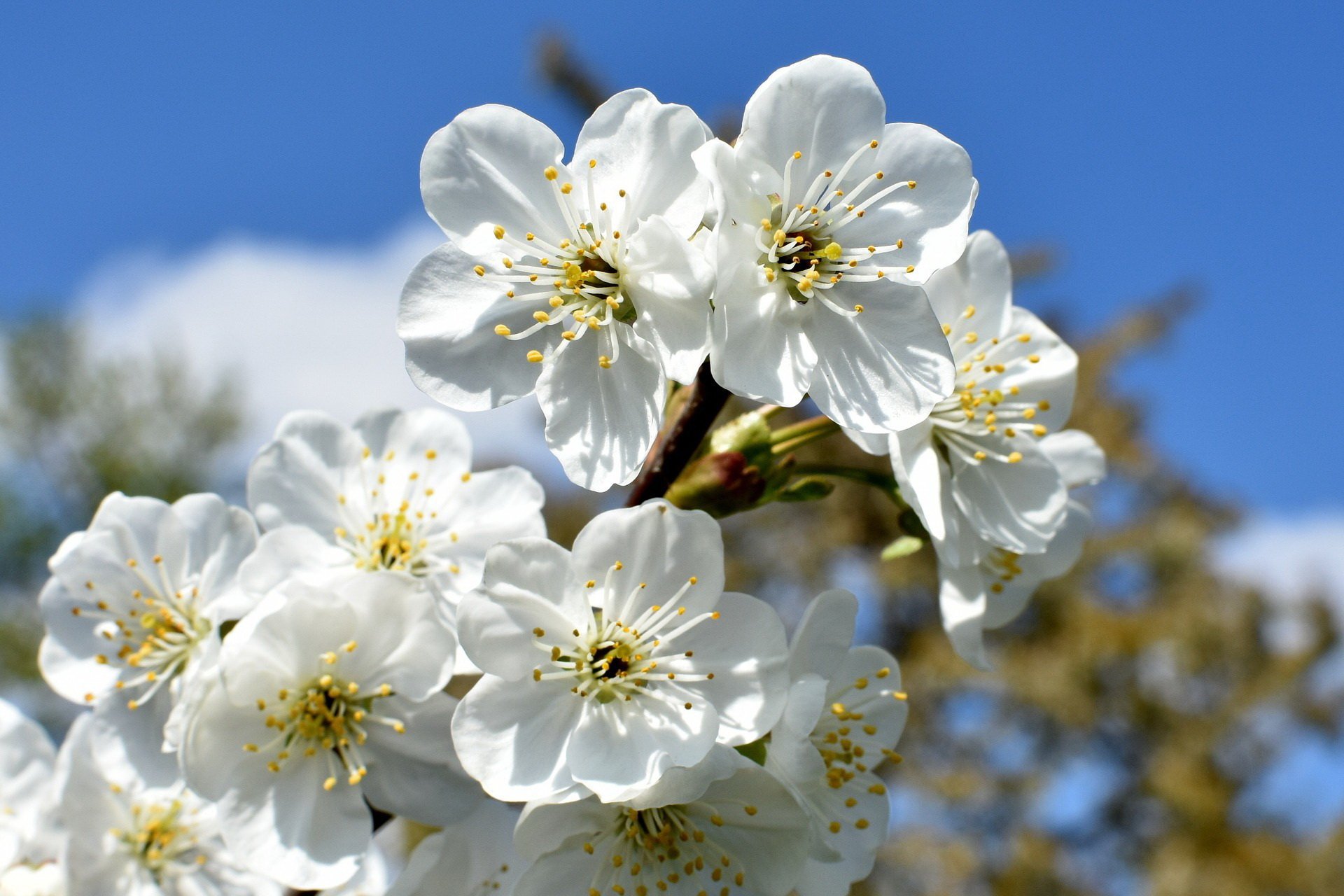 Wiosenny mazurek wierszyk dla dzieci na powitanie wiosny