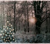 Choinka w lesie, wierszyk i melodia dla dzieci na Boże Narodzenie