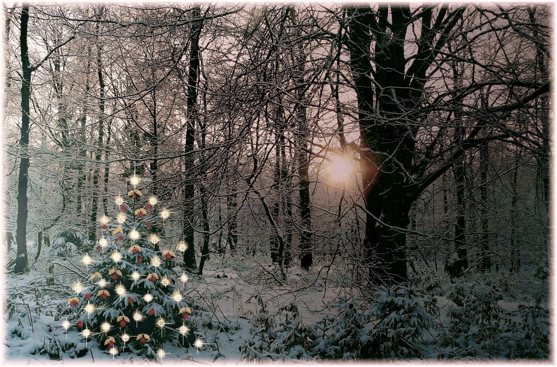 Choinka w lesie, wierszyk i melodia dla dzieci na Boże Narodzenie