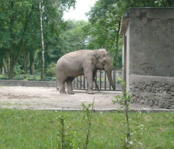 Majówka w Zoo