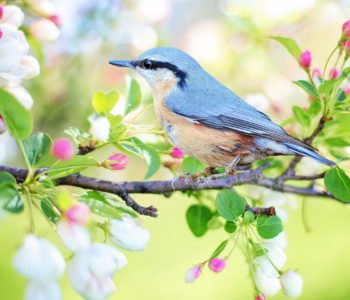 Wiosna radosna wiersz dla dzieci na wiosnę