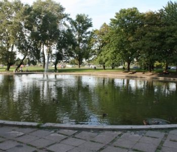 Park z uroczym oczkiem wodnym