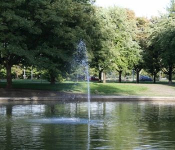 Park z uroczym oczkiem wodnym
