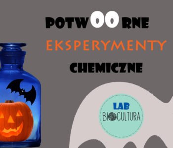 Halloweenowe Warsztaty Chemiczne