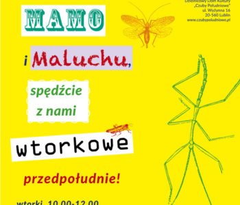 Mamalucha – przedpołudniowe spotkania dla Mam i Dzieci. Lublin